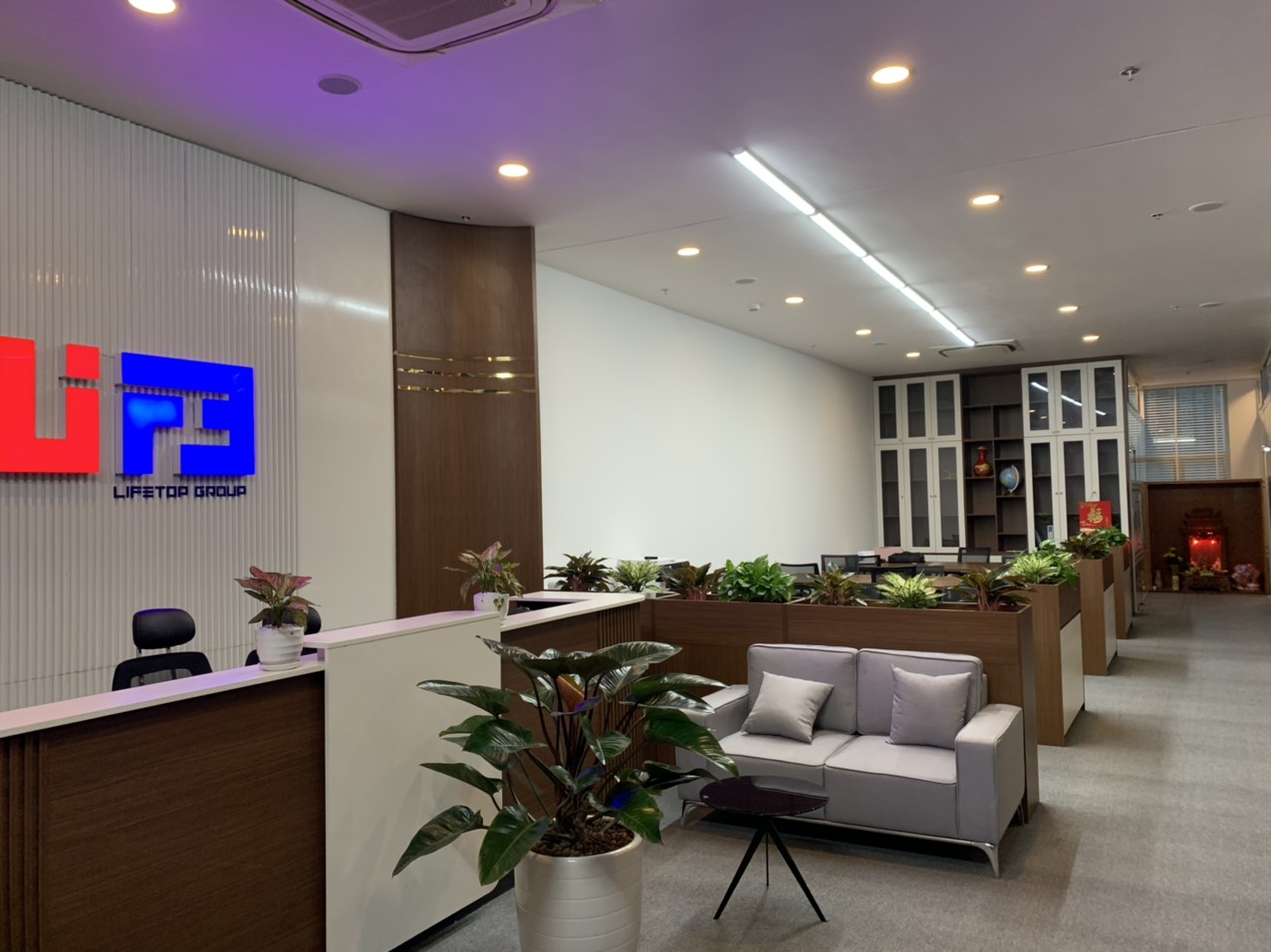 lĩnh vực hoạt động